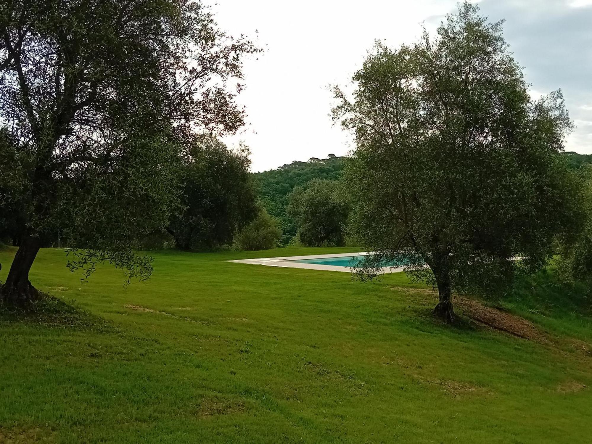 Podere Lucignano Secondo Agriturismo Gaiole in Chianti Buitenkant foto